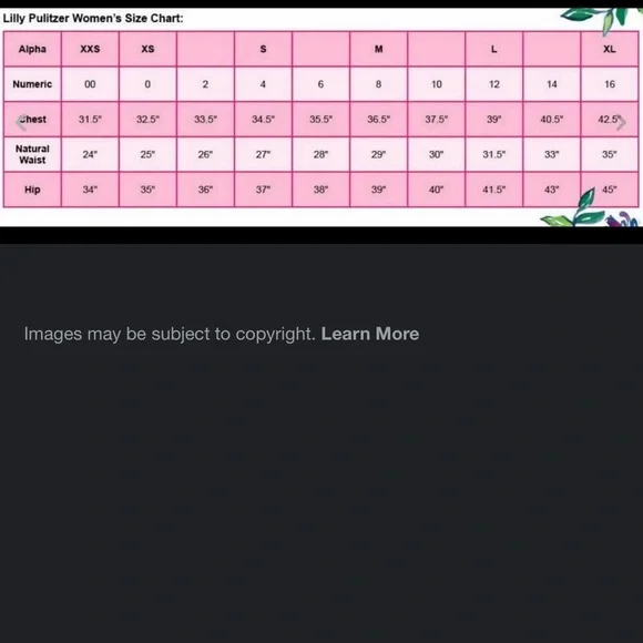 Lilly Pulitzer Besty Had Me A Blast Dress Size 6. Unique / Rare Piece - Picture 10 of 10